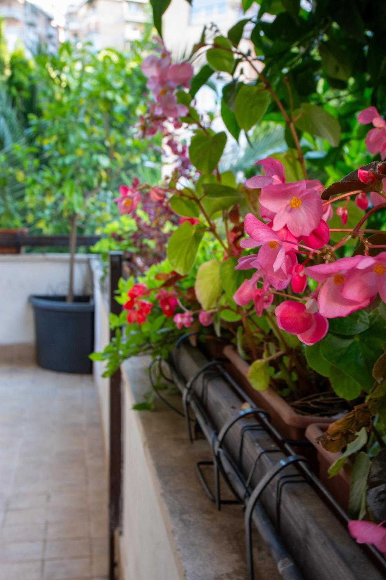 Photographer's House Apartment Rome